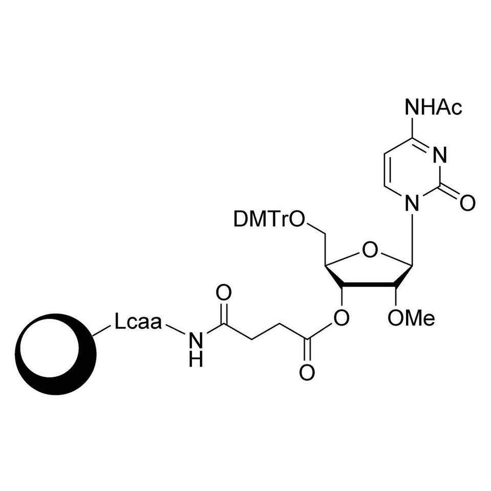 2'-OMe-C (Ac) CPG